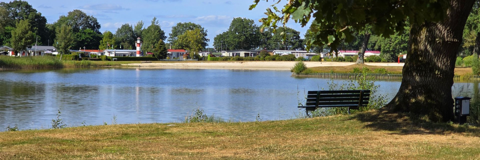 Ruhige Seelandschaft vom Ufersaum, gerahmt von herabhängenden Baumblättern.