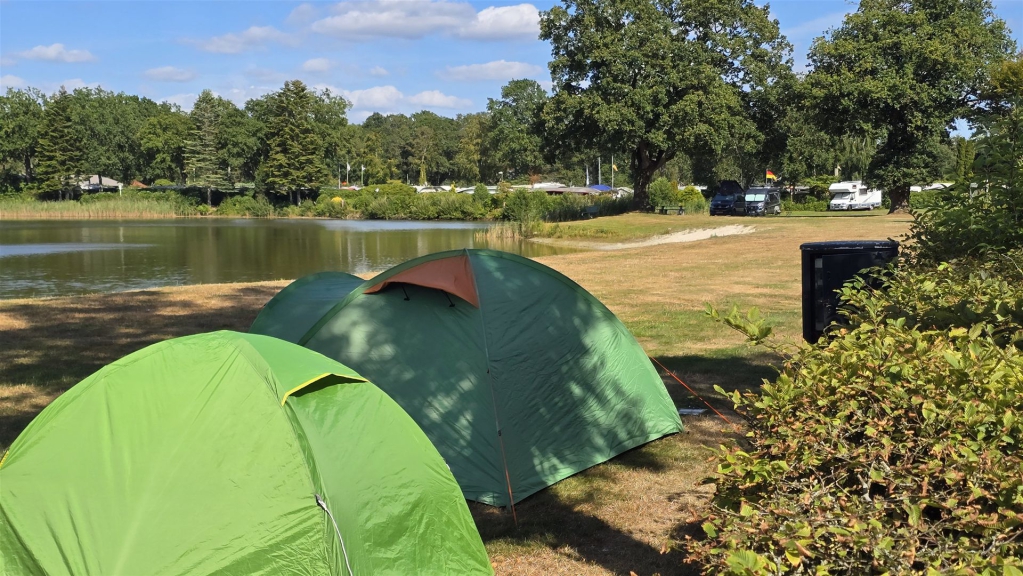 Mehrere grüne Campingzelte stehen auf einer Wiese mit Blick auf einen See und einen Wald im Hintergrund.