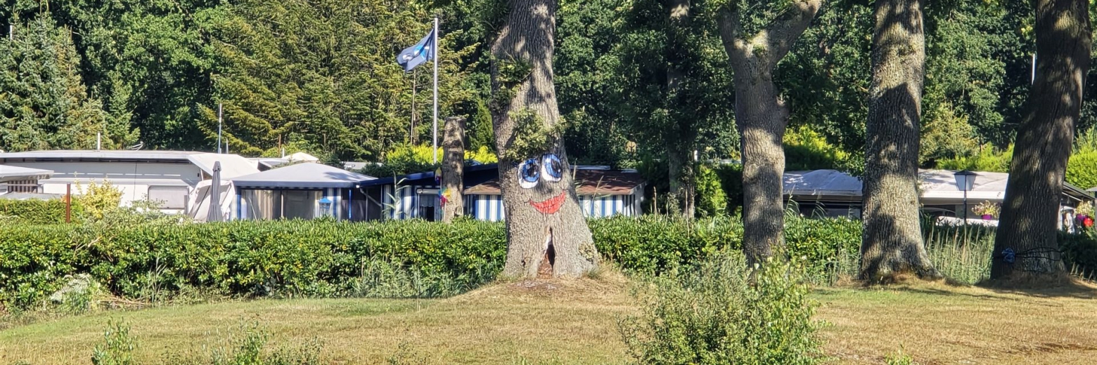 Eine parkähnliche Szene mit einem Wasserlauf im Vordergrund und hohen Bäumen im Mittelgrund.